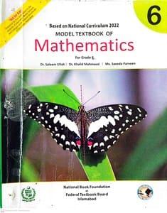 Class 6 Mathematics Notes Federal Board Cover