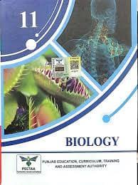 11 Biology